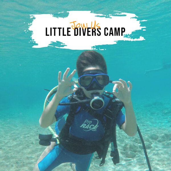 Little Divers Camp (Open Water Scuba Diver course for the Youth & Kids)
