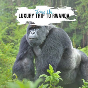 Luxury Trip to Rwanda
